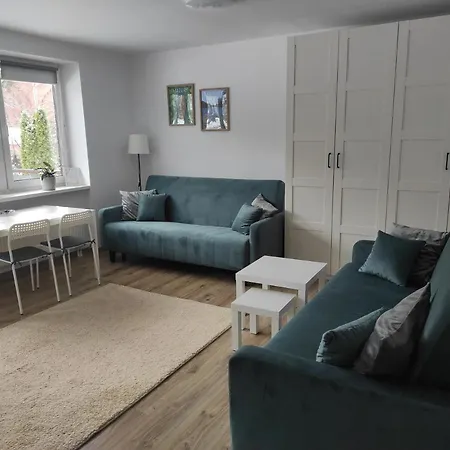 Apartament Pilsudskiego 什奇特诺